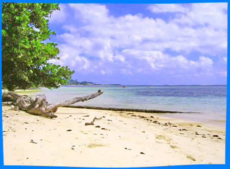 Пляж Anse Aux Pins и Turtle Bay, Сейшельские Острова Пляжи, описание, как добраться