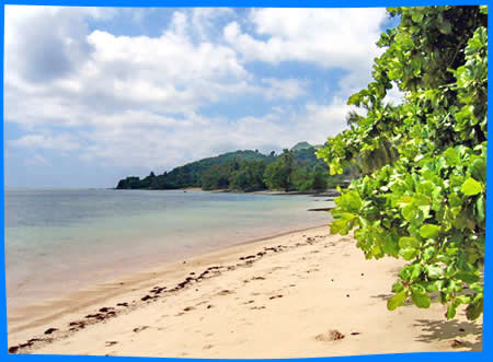 Пляж Anse Aux Pins и Turtle Bay, Сейшельские Острова Пляжи, описание, как добраться