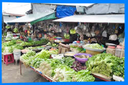 Рынок Кон Дао (Con Dao Market)
