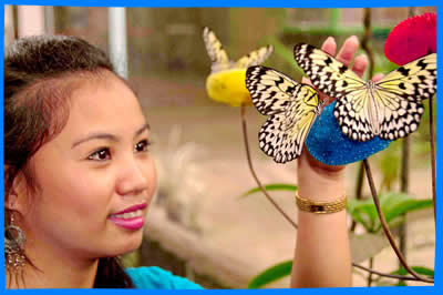 Заповедник Бабочек Джумалон (Jumalon Butterfly Sanctuary)