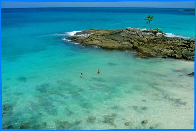 коралловый риф напротив Кемпинский сейшелы, Снорклинг в Маэ, Сейшельские Острова Снорклинг, самые лучшие места, снорк-сайты