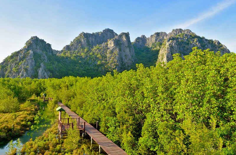 Лесной Парк Пранбури (Pranburi Forest Park)