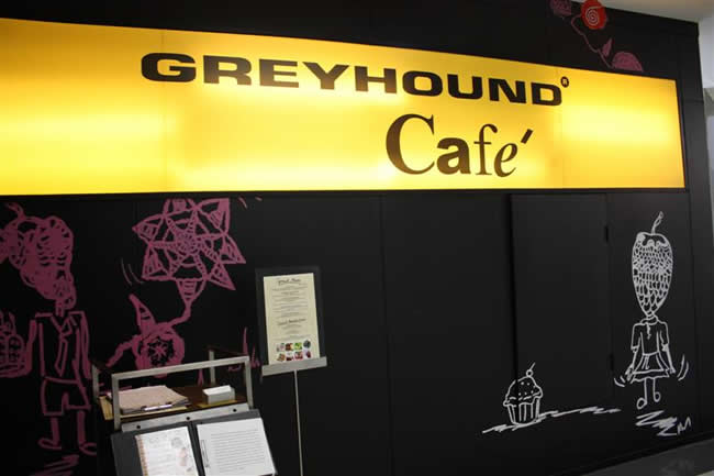Кафе Greyhound