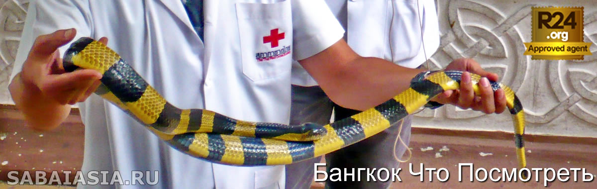 Bangkok Snake Farm - Змеиная Ферма в Бангкоке в Институте Красного Креста Бангкока